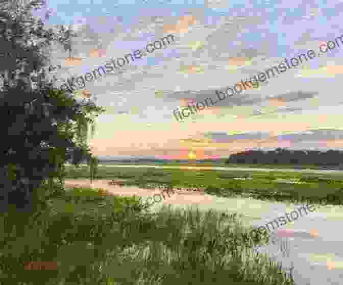 A Breathtaking Painting By Rod Reynolds Depicting A Serene Marsh Landscape With Tall Reeds And Glowing Sunlight Black Reed Bay Rod Reynolds