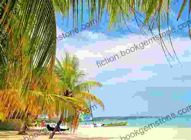A Panoramic View Of A Secluded Beach In Jamaica, With Palm Trees Swaying In The Gentle Breeze And Azure Waters Stretching Beyond. Tales From The Torrid Zone: Travels In The Deep Tropics (Vintage Departures)