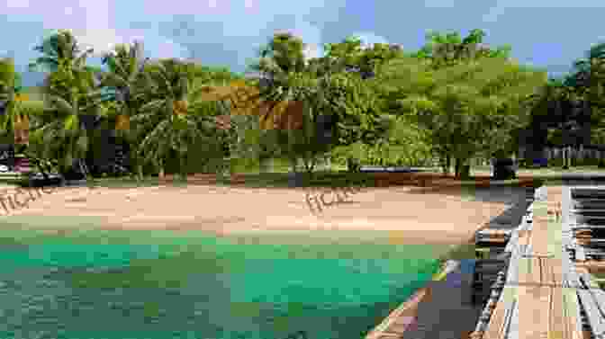 A Photo Of The Island Of Vieques, Puerto Rico The Island Hopping Digital Guide To Puerto Rico Part III The East Coast: Including Palmas Del Mar Puerto Del Rey Marina Fajardo Cayo Obispo And Las Croabas