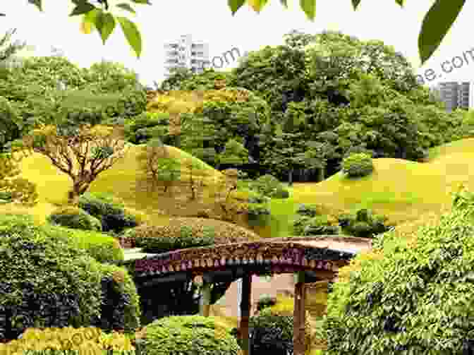 A Tranquil Garden In Tokyo, With People Strolling Through The Paths And Enjoying The Serene Surroundings. Motions And Moments (Tokyo Moments 3)