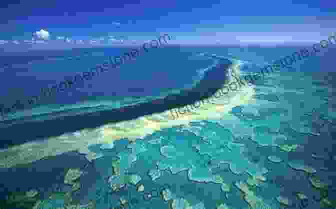 Aerial View Of The Great Barrier Reef, Australia, Showcasing Its Vibrant Coral And Marine Life Did You Two Go On The Same Trip: Australia Unillustrated Edition (Traveling The World 2)