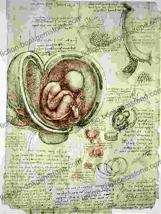 Leonardo Da Vinci's Anatomical Studies, Demonstrating His Detailed Observations And Scientific Inquiry. Delphi Complete Works Of Leonardo Da Vinci (Illustrated) (Masters Of Art 1)