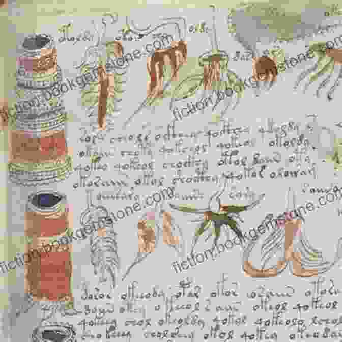 The Voynich Manuscript Is An Illustrated Codex Hand Written In An Unknown Script And Language. Still Solving The Voynich (Voynich Perspectives 5)