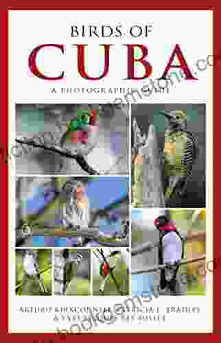 Photographic Guide To The Birds Of Cuba