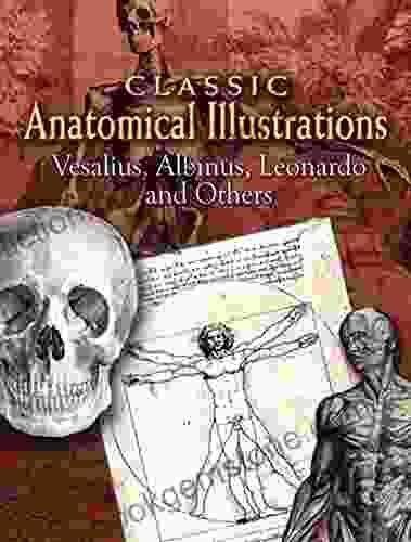 Classic Anatomical Illustrations (Dover Fine Art History Of Art)